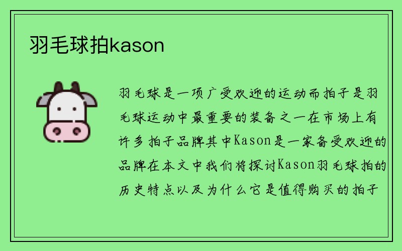 羽毛球拍kason